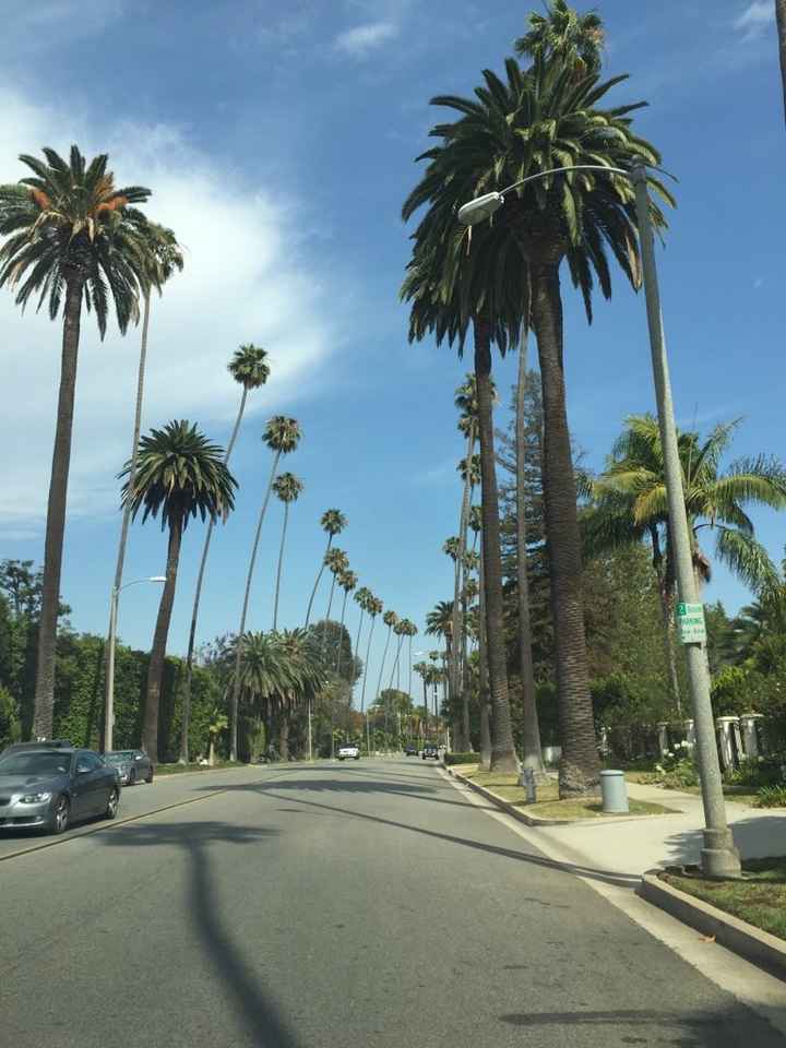 Il nostro 25 giugno 2016 ed il tour on the road in america! - 12