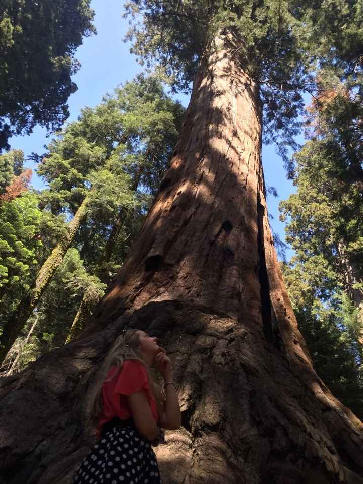 Il nostro 25 giugno 2016 ed il tour on the road in america! - 17