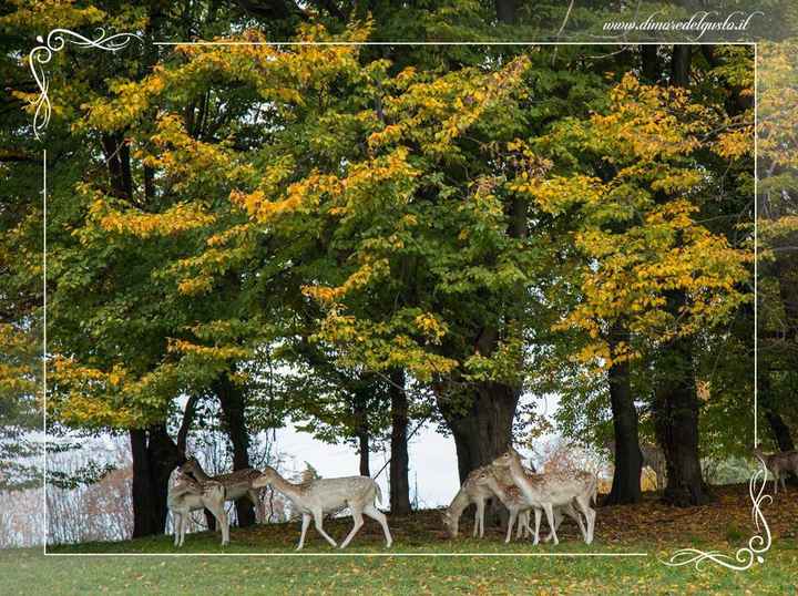 Castello di rossino ❤ prenotato!!! - 2