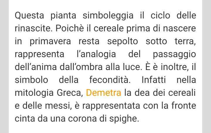 Alternative al riso - 2