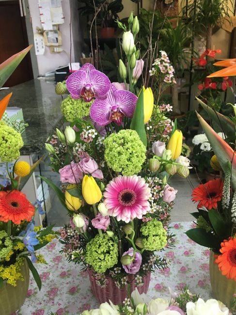 Colore fiori - 1
