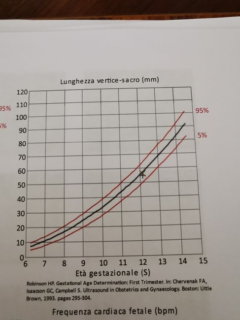 6 settimana e si vede solo un embrione piccolissimo da 1.5 mm.. - 2