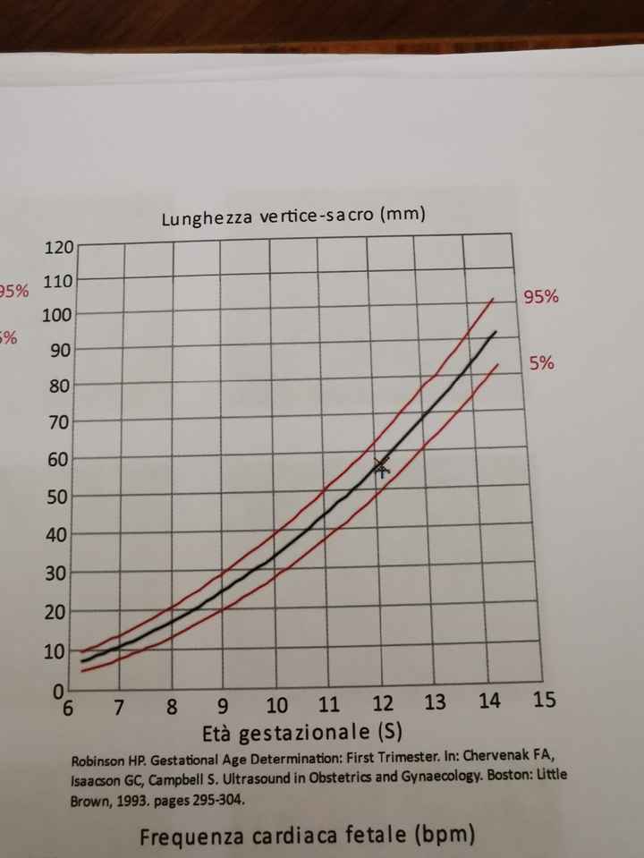 6 settimana e si vede solo un embrione piccolissimo da 1.5 mm.. 3