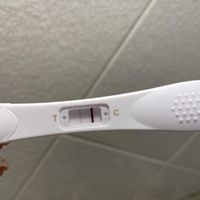 Chi non le aspetta per Aprile 2023! 🤞🏻🍀🍀 - 1