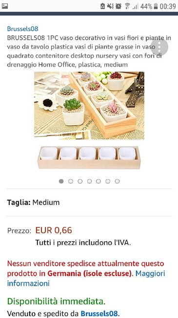 Help segnaposto piante grasse - 1