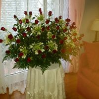 Il nostro  si 27 giugno  2015 - 8