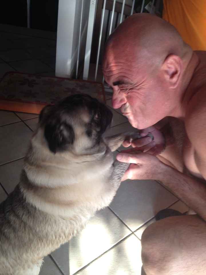 Le foto dei vostri animali - 1