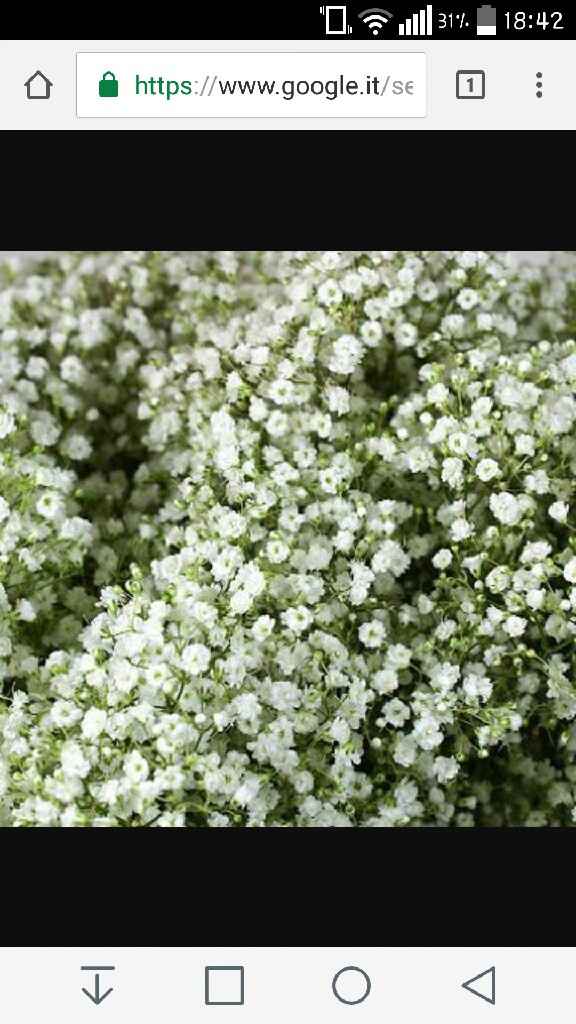 Fiori e colore nozze - 1