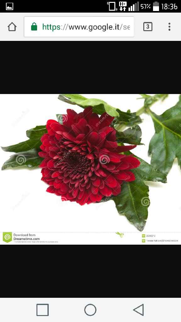 Fiori e colore nozze - 3