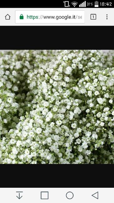 Fiori e colore nozze - 1