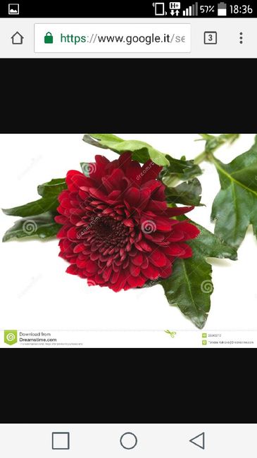 Fiori e colore nozze - 3