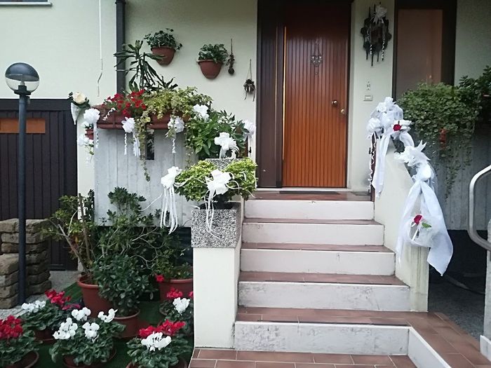  Oggi è il gran giorno.... - 2