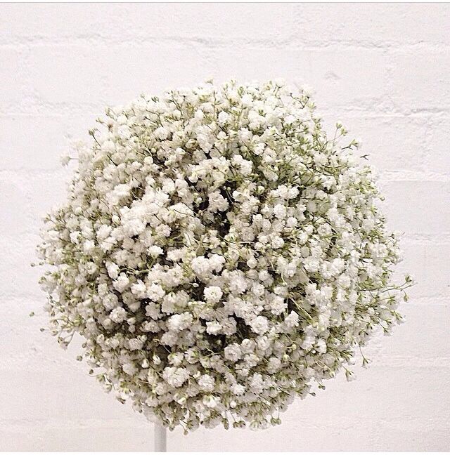 Bouquet consiglio cercasi  - 3