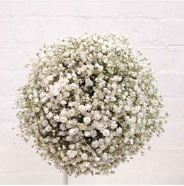 Bouquet consiglio cercasi  - 3