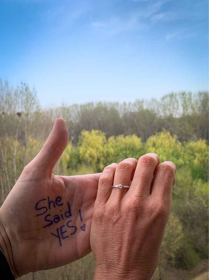 I vostri anelli di fidanzamento: vogliamo vederli! - 1