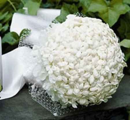 Che fiori scegliere? - 3