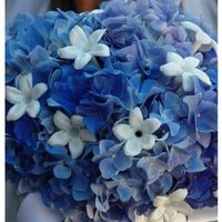 Che fiori scegliere? - 2