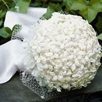 Che fiori scegliere? - 3