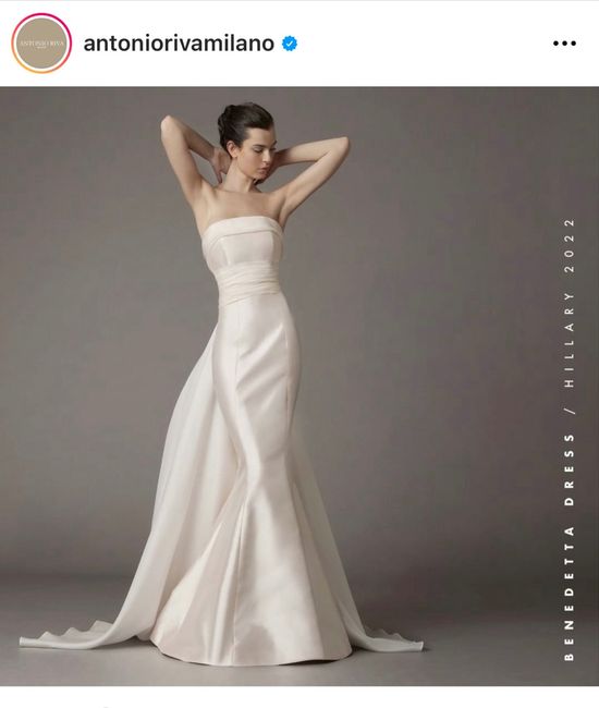 Sposa sagittario ♐️: che abito scegliereste? 3
