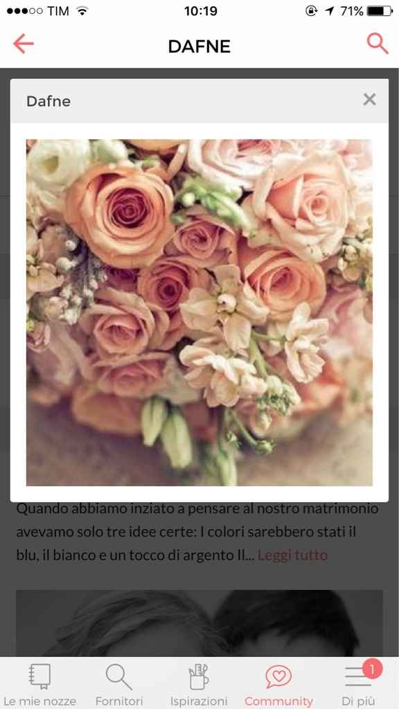 Aiutatemi a scegliere !!!! - 2