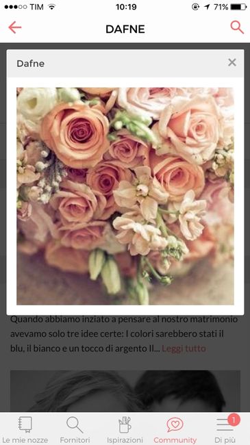 Aiutatemi a scegliere !!!! - 2