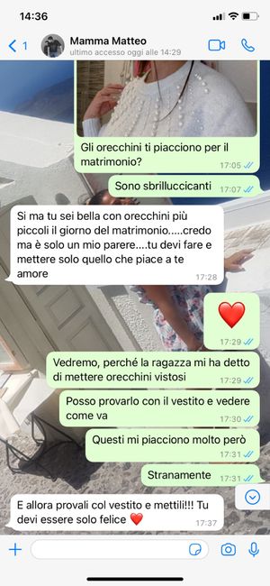 Ci possono stare questi orecchini? 1
