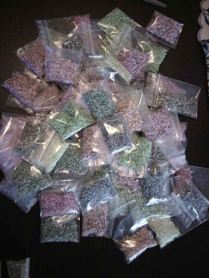 Terzo e (spero) ultimo atto: wedding bag - 2