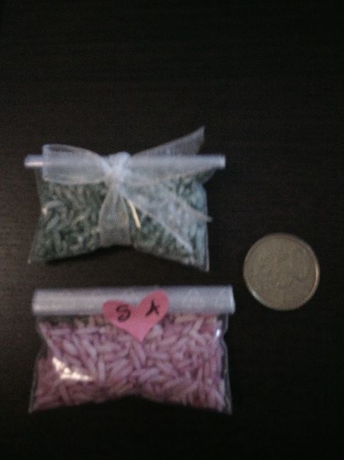 Terzo e (spero) ultimo atto: wedding bag - 1