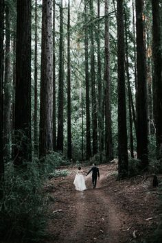 Idea foto sposi nel bosco