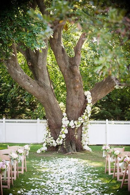 Idea decorazione albero nuziale II