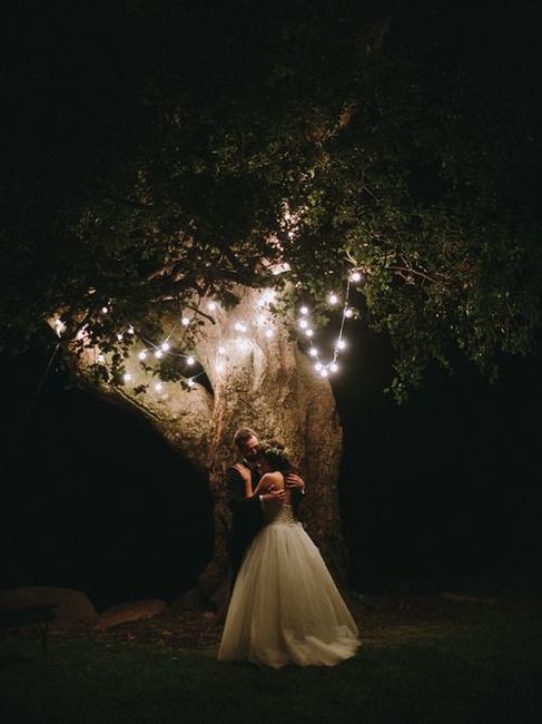 Idea foto sotto l'albero di notte