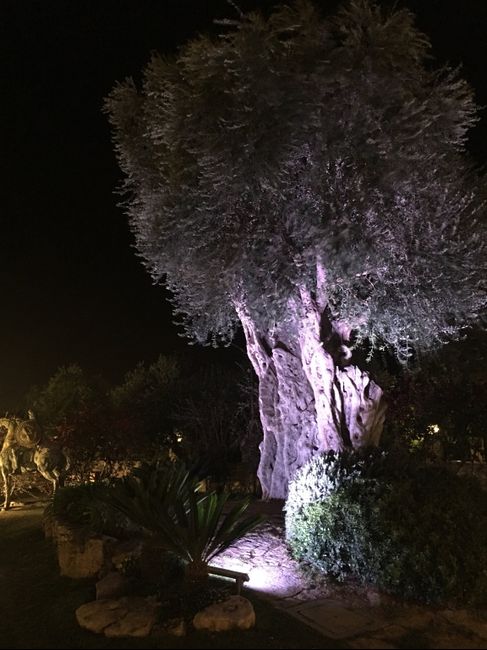 Casale San Nicola Bisceglie - Puglia. Qualcuna di sposerà li? - 2