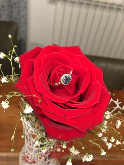 Mi fate vedere il vostro anello della proposta?? 7