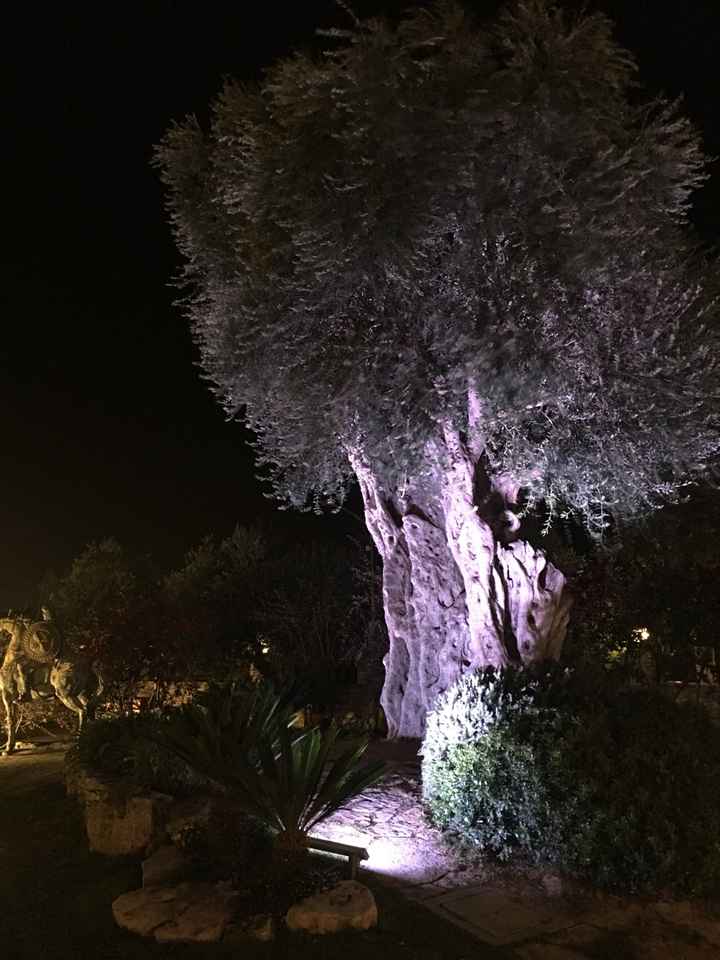 Casale San Nicola Bisceglie - Puglia. Qualcuna di sposerà li? - 2
