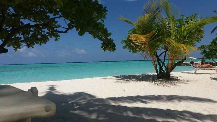 Viaggio di nozze e paura di volare! - 1