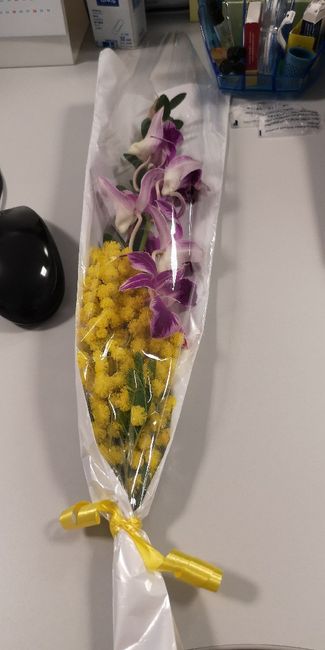 Mostratemi le Mimose! - 1