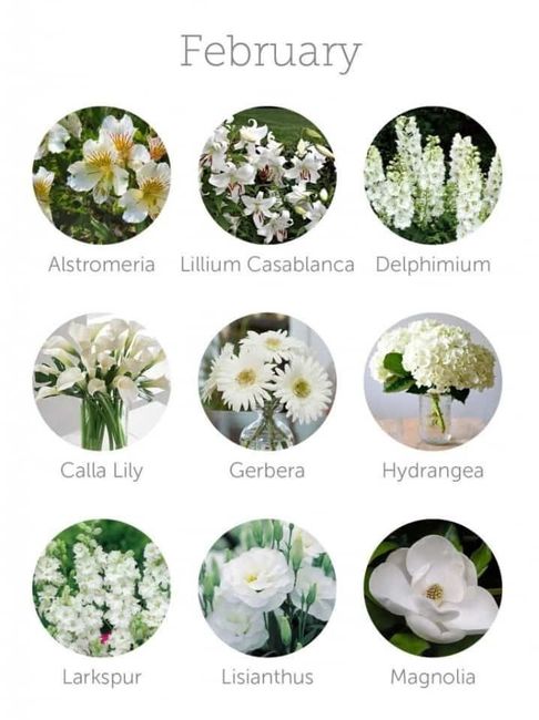 Fiori!!! Ad ogni mese il suo!! 🌹💐 2