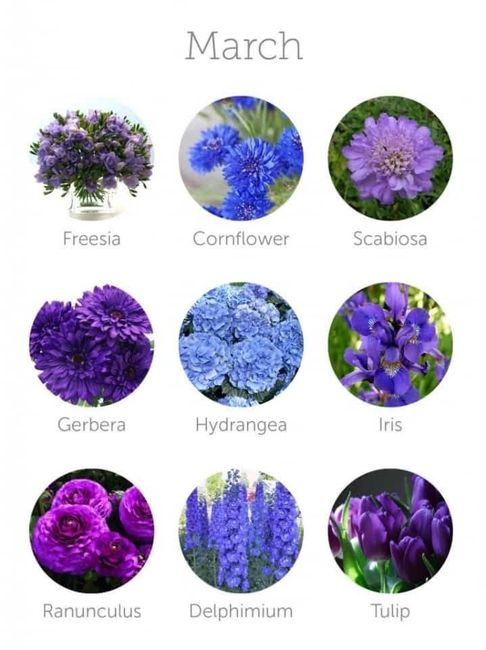 Fiori!!! Ad ogni mese il suo!! 🌹💐 3