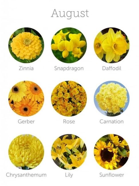 Fiori!!! Ad ogni mese il suo!! 🌹💐 8
