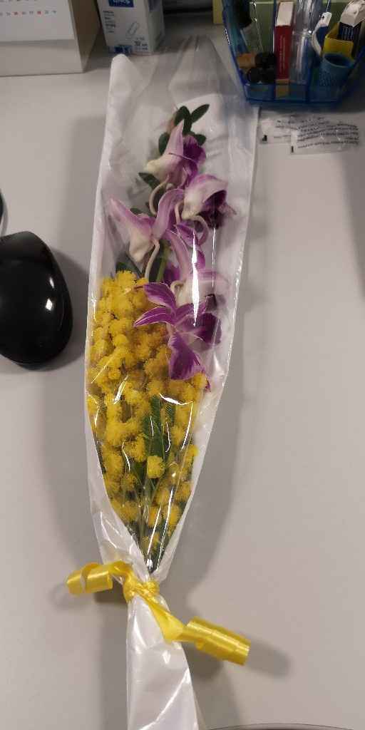 Mostratemi le Mimose! - 1