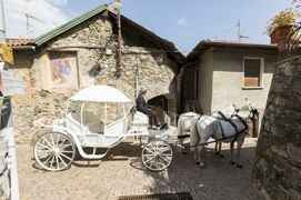 "Sulla Topolino amaranto, siedimi accanto che adesso si va!!": Auto!!! - 3