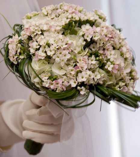 Non ti scordar di me - 5