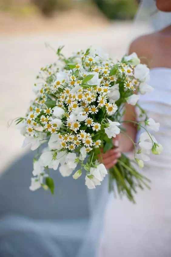 Per chi si sposa a settembre..... quali sono i fiori più indicati per il bouquet? - 1