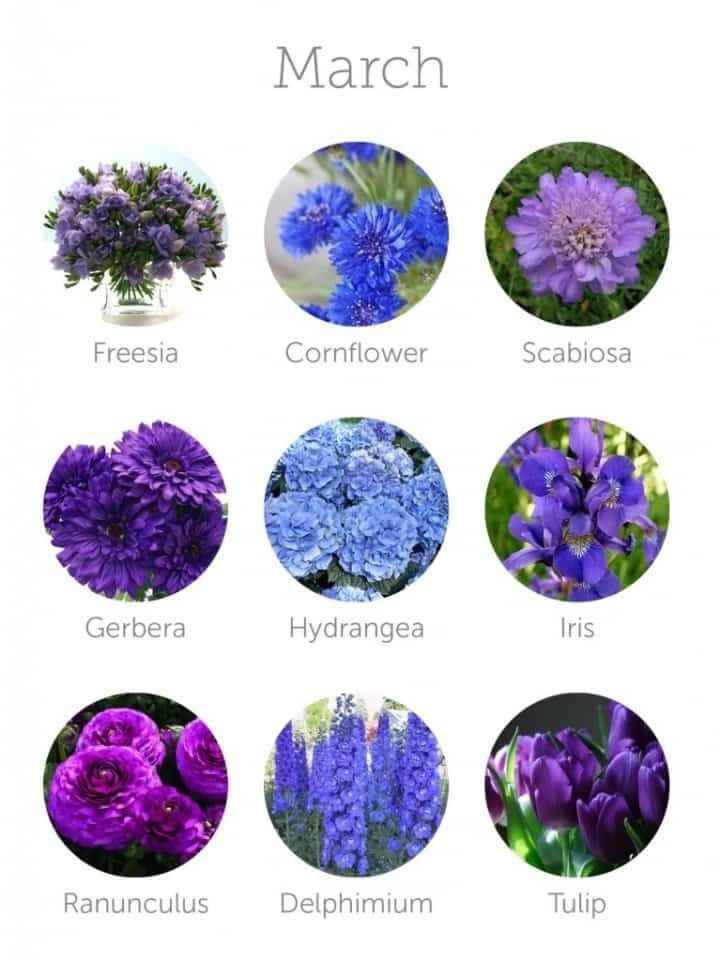 Fiori!!! Ad ogni mese il suo!! 🌹💐 - 3