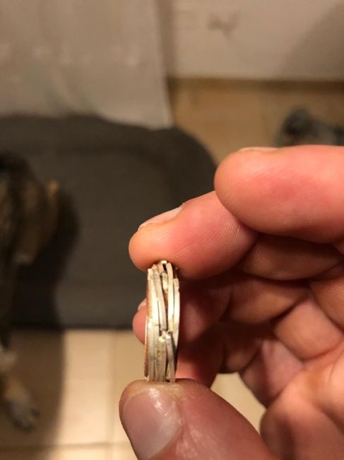 prototipo povero fedi 1