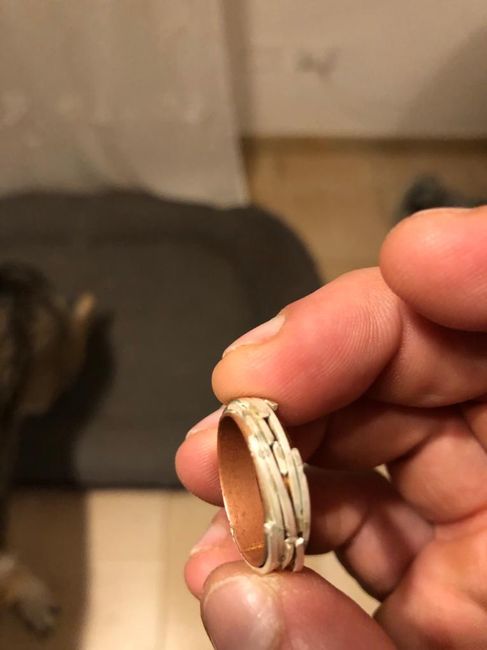 prototipo povero fedi 2