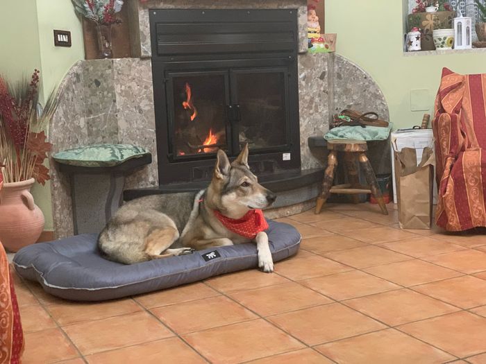 Selfie di Auguri...... 3....2...1.....viaaaaaa 3