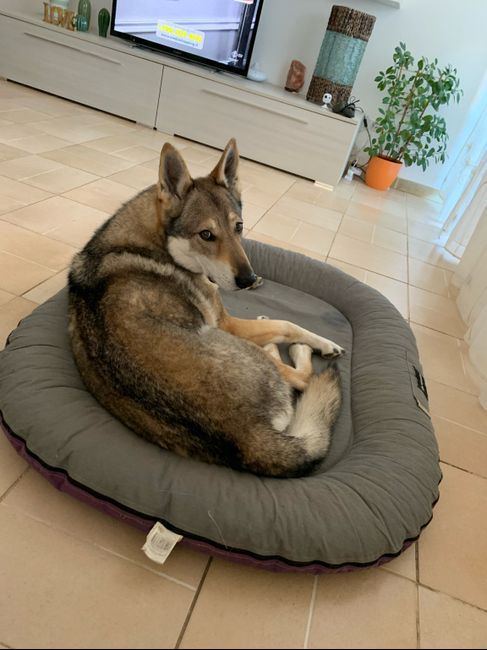 Location by night with my loves!!!! 5