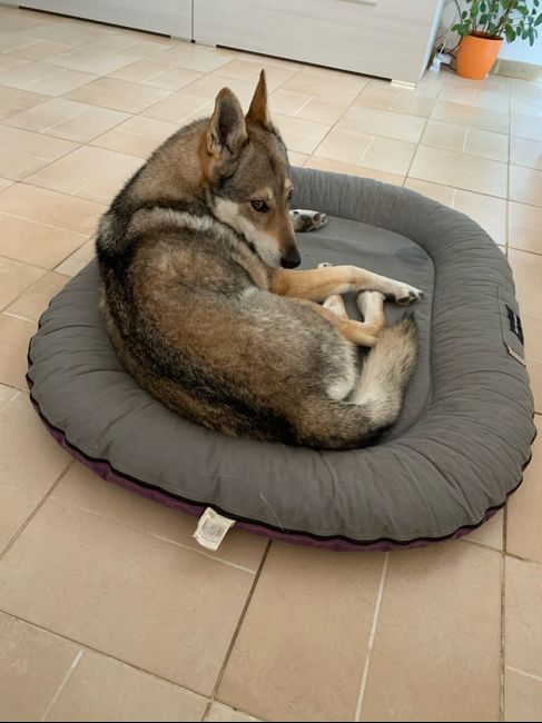 Location by night with my loves!!!! 6