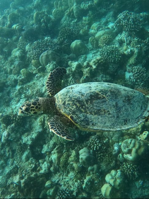 Il nostro Viaggio di Nozze Maldive / Dubai 5